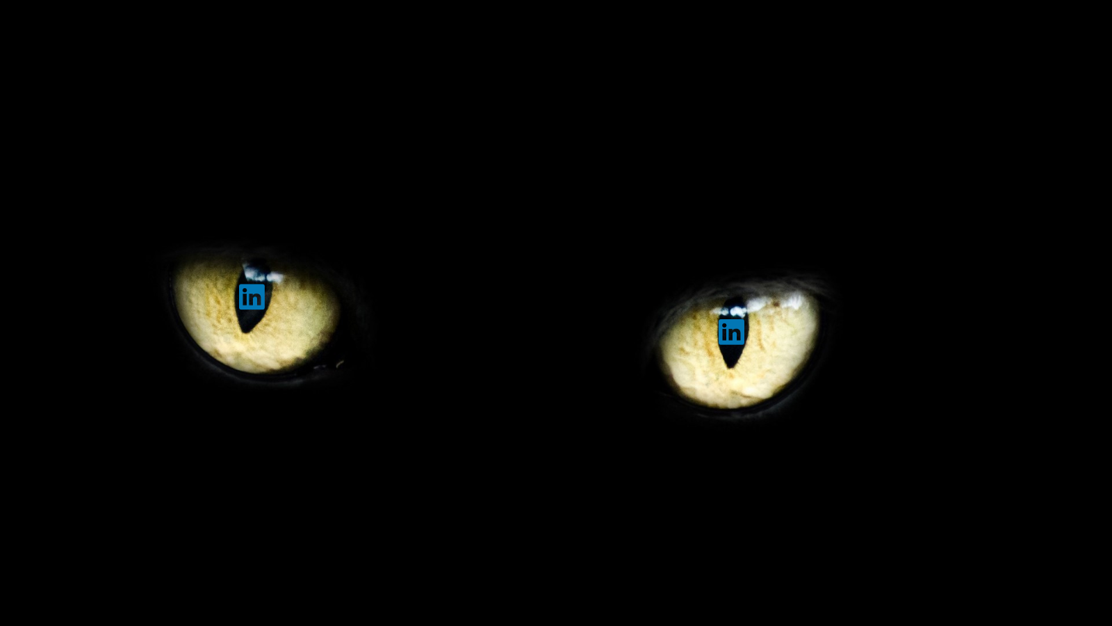 Navigating LinkedIn A Spooky Tale of Common Mistakes and How to Avoid Them