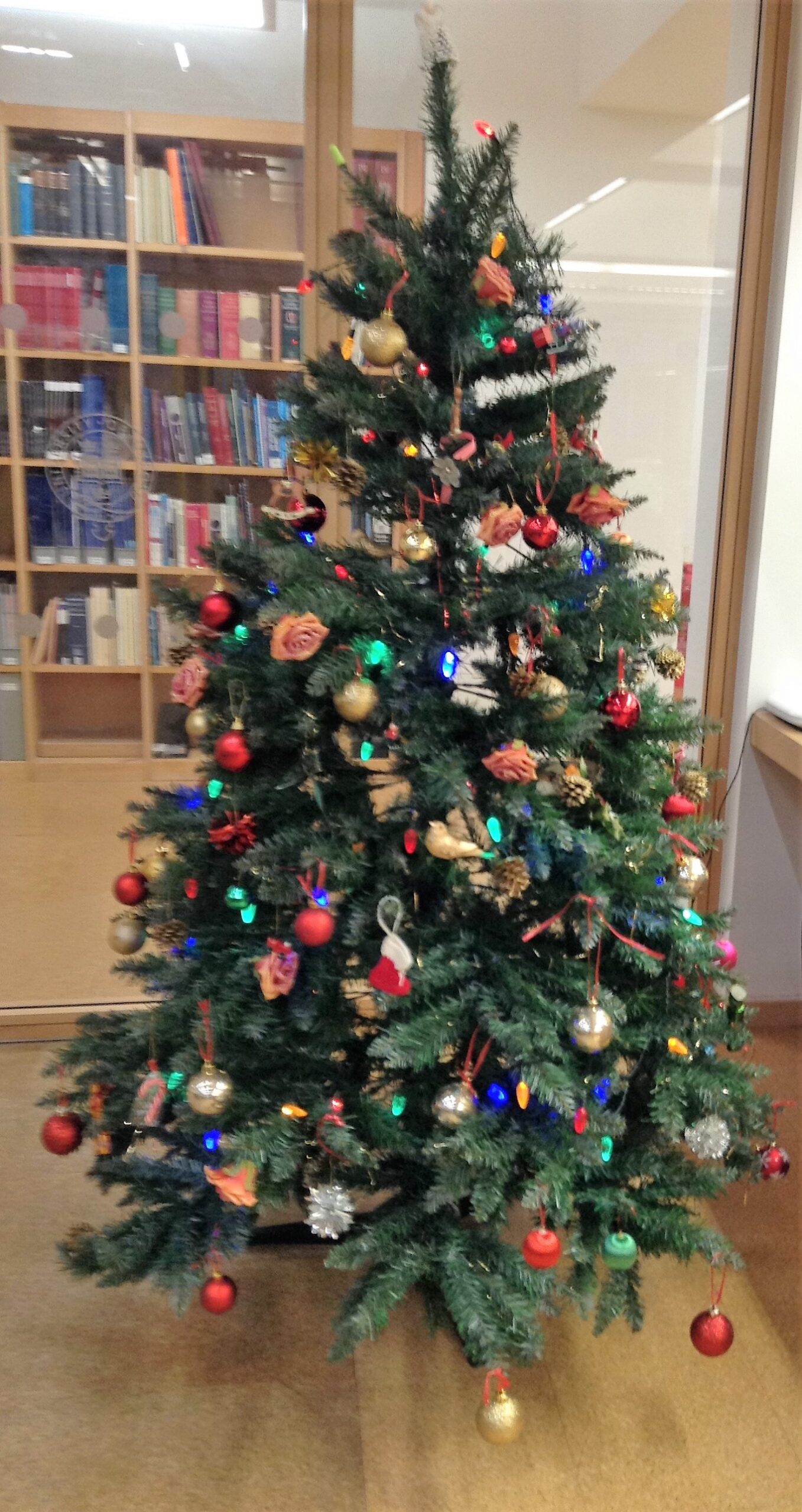 A Christmas tree in the Bodleian Law Library
