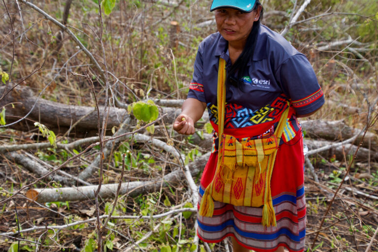 Roeung Haeng collects fruits from her community forest in eastern Cambodia.