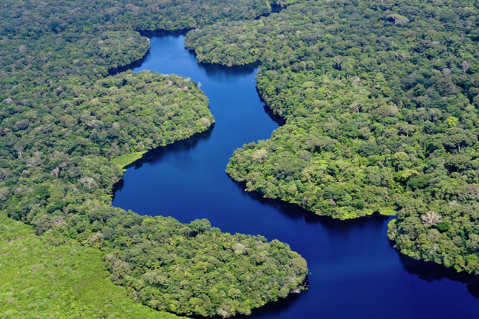 Modeling suggests solar geoengineering could contribute to the Amazon Rainforest drying out. 