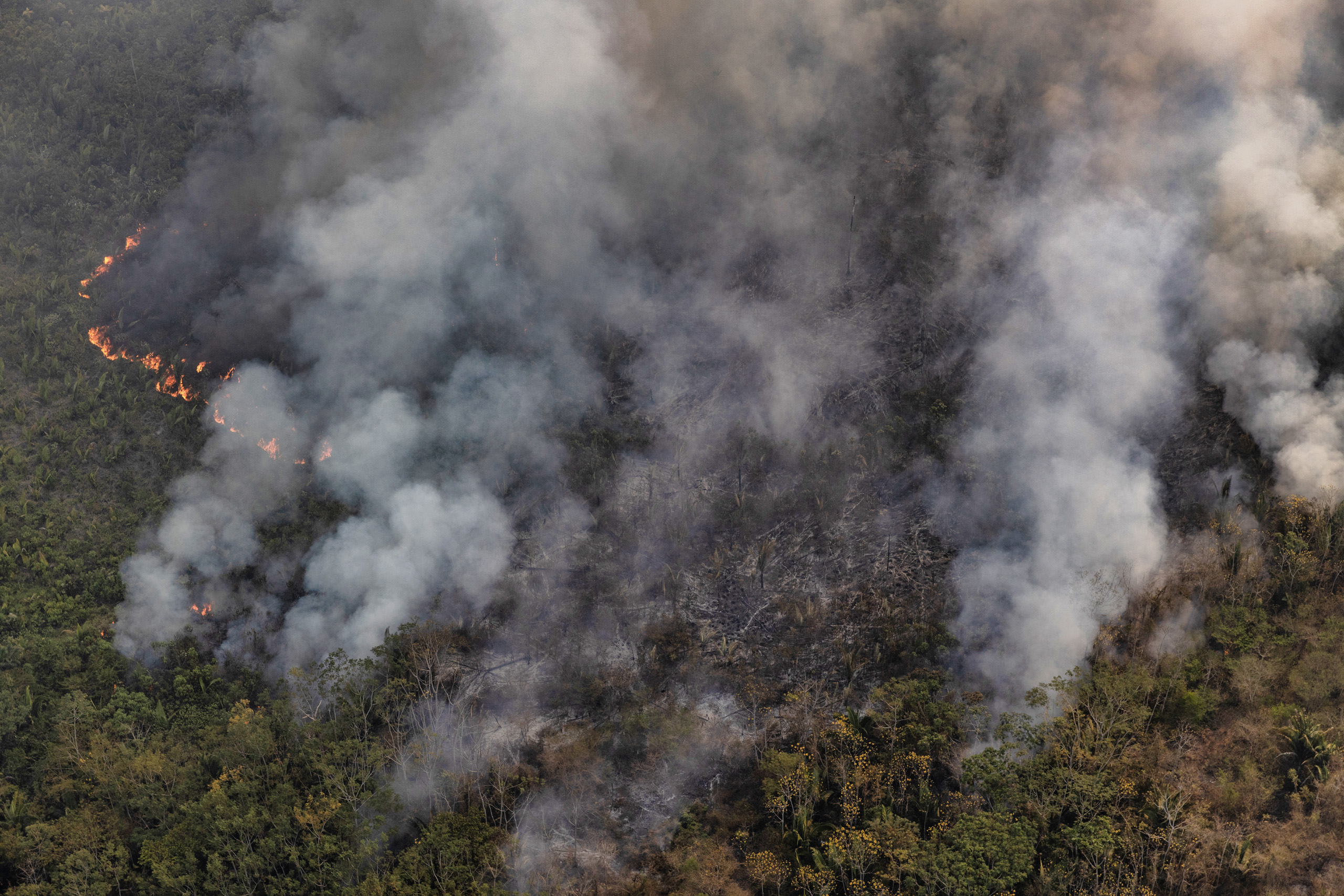 Greenpeace Brazil conducted an aerial survey in southern Amazonas and northern Rond&ocirc;nia to monitor deforestation and fires in July 2024. Photo &copy; Marizilda Cruppe / Greenpeace.