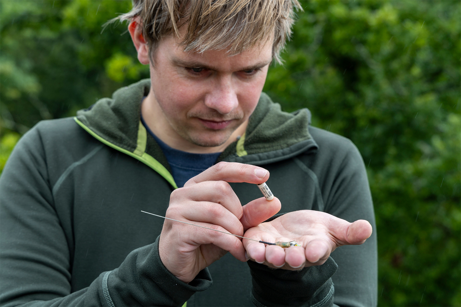 Scientists used surgically-implanted biologgers to measure heart rate and body temperature of birds through the course of the winter. 