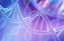 DNA molecular structure