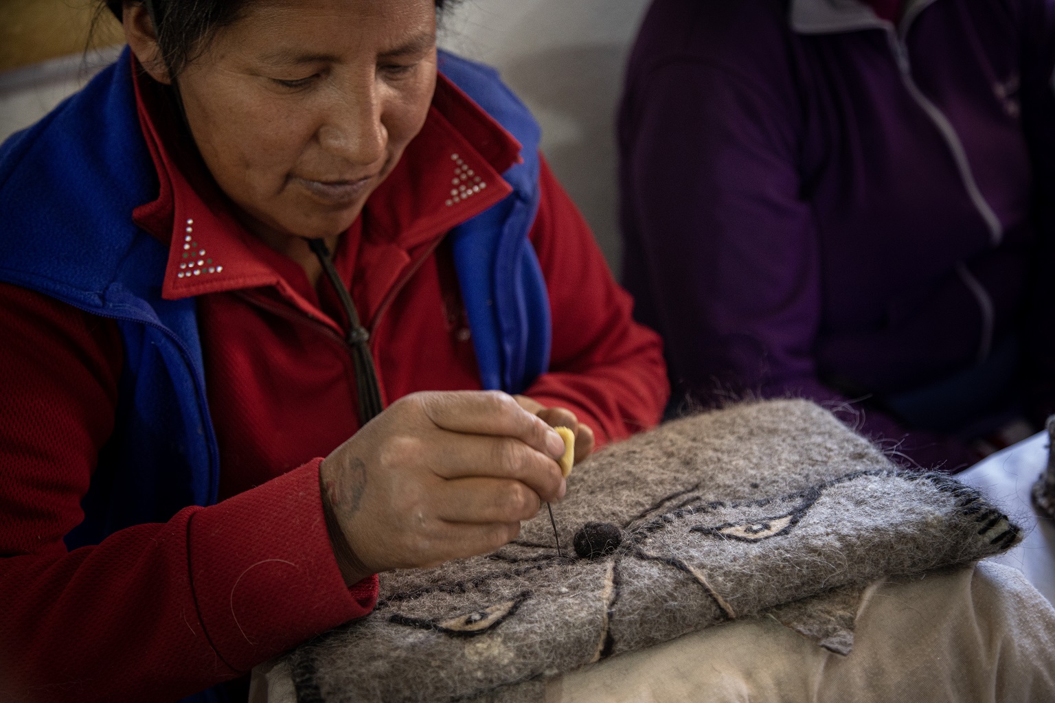 The Andean Cat Alliance&rsquo;s CATcrafts program helps local communities generate alternative incomes. Some local residents make cat-related handcrafts from leftover materials. These activities help familiarize local residents with AGA and make them advocates for the Andean cat.