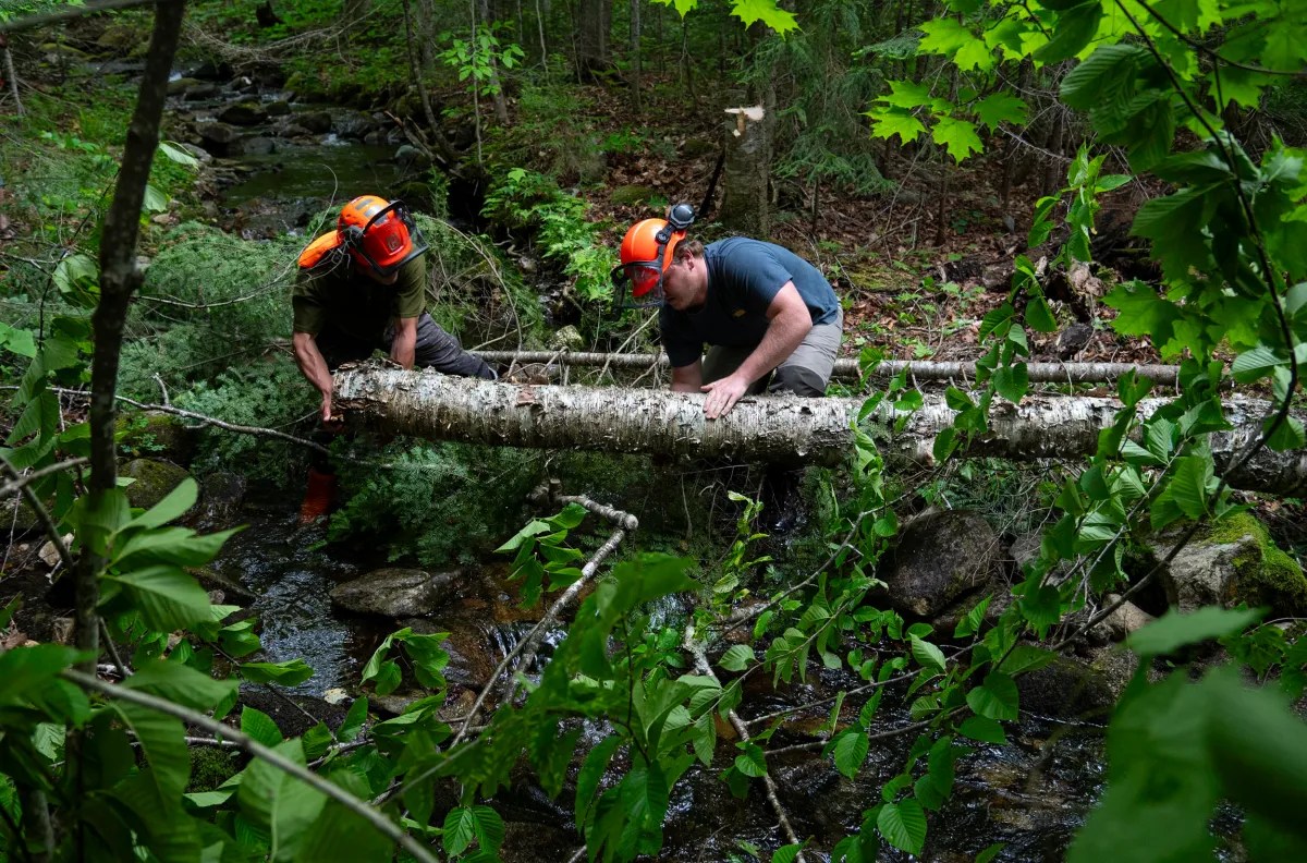 Two people wearing helmets and protective gear work together to move a fallen tree trunk across a small forest stream surrounded by dense foliage.