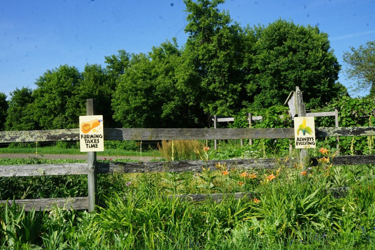 A wooden fence with signs reading &ldquo;Farming Takes Time&rdquo; and &ldquo;Always Evolving&rdquo; stands in front of a lush, green garden with tall grass, flowers, and trees in the background.