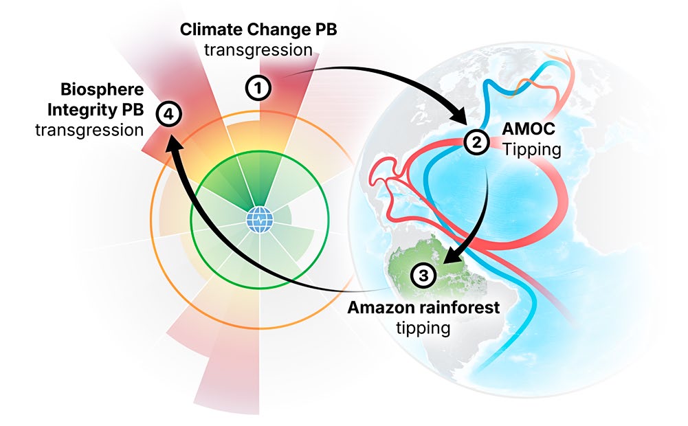 An example of how several planetary boundaries and tipping elements can be linked in a cascade. 