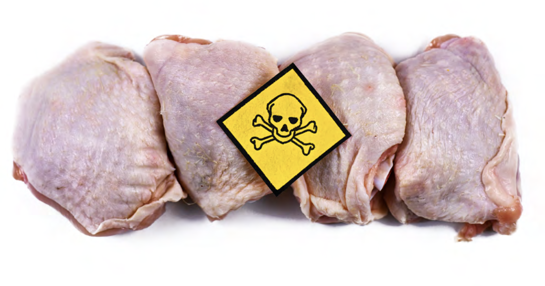 poison chicken illustration