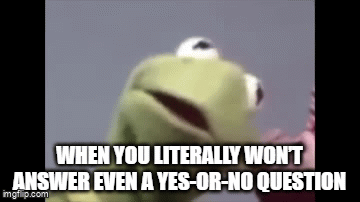A humorous image of a puppet frog with an expressive face, overlaid with text that reads 'WHEN YOU LITERALLY WON'T ANSWER EVEN A YES-OR-NO QUESTION'.